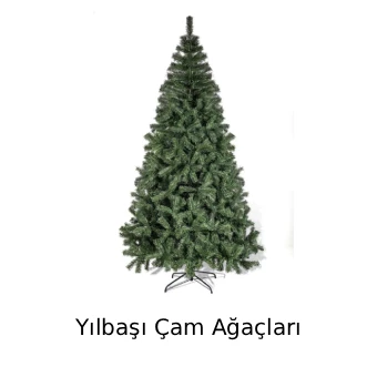 Yılbaşı Çam Ağaçları