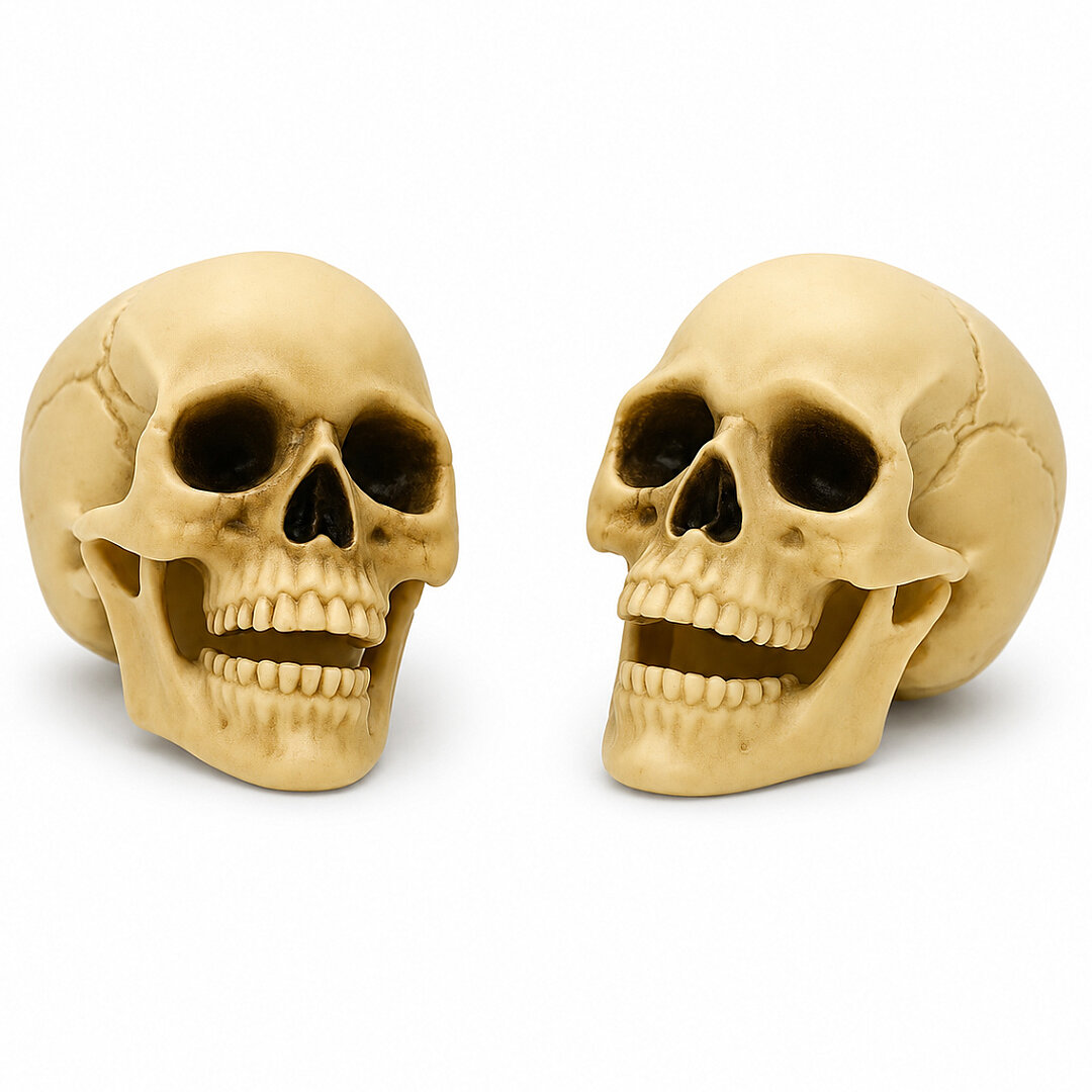 Beysüs Halloween Kuru Kafa İkili Beyaz - Beysüs