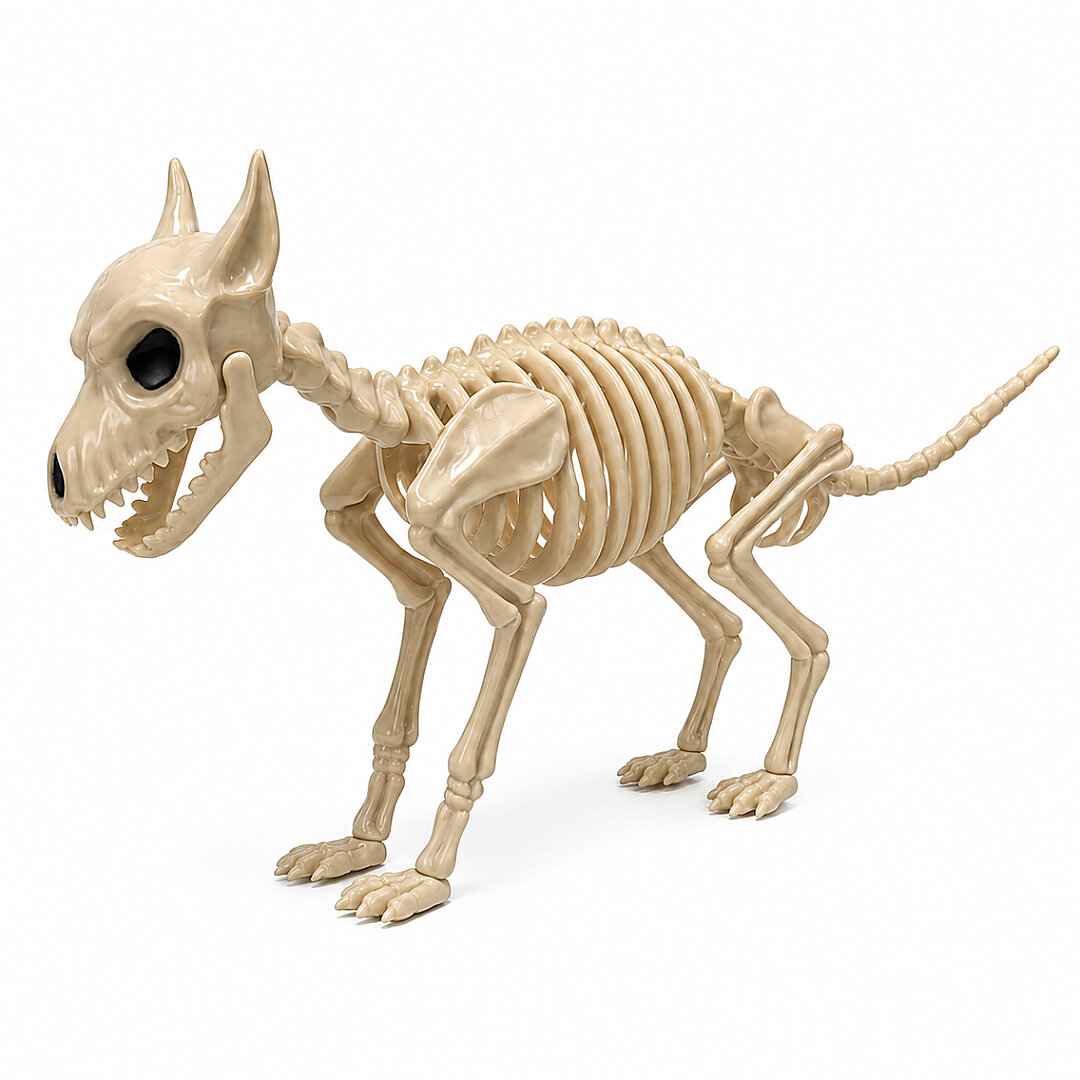 Cadılar Bayramı Korku Temalı İskelet Köpek Figürü 44cm - Beysüs