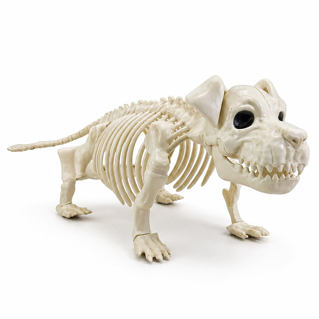 Cadılar Bayramı Korku Temalı İskelet Köpek Figürü 44cm - Beysüs